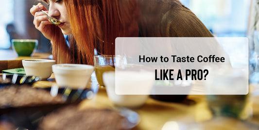 Learn the Art of Coffee Tasting Like A Pro | How to Taste Coffee?