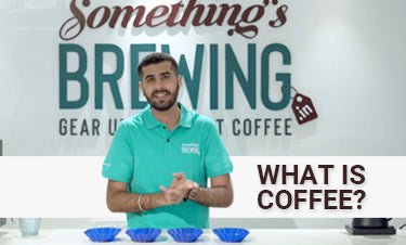 What is Coffee? - Something's Brewing