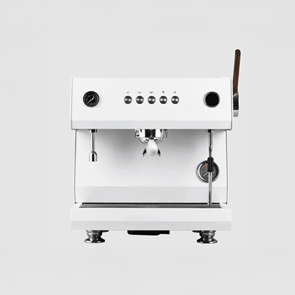 Budan Maestro - Something's Brewing