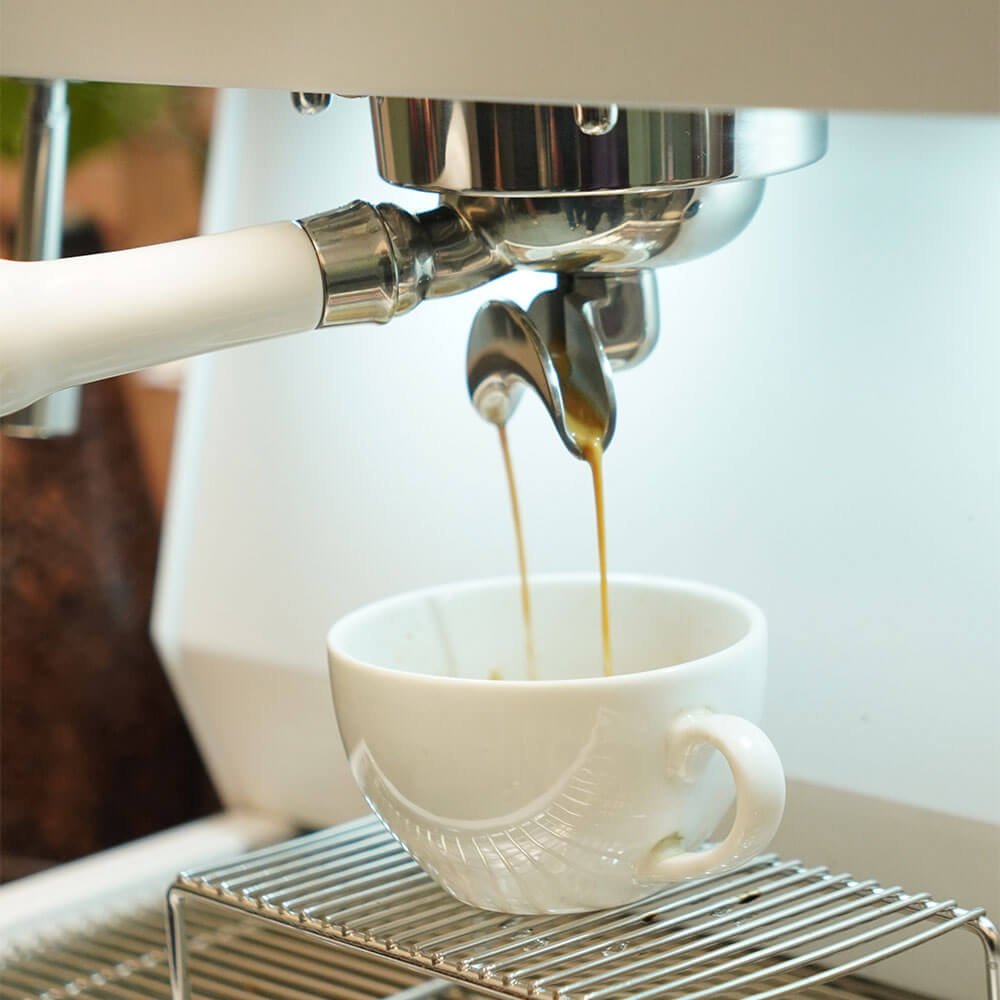 Budan Maestro - Something's Brewing