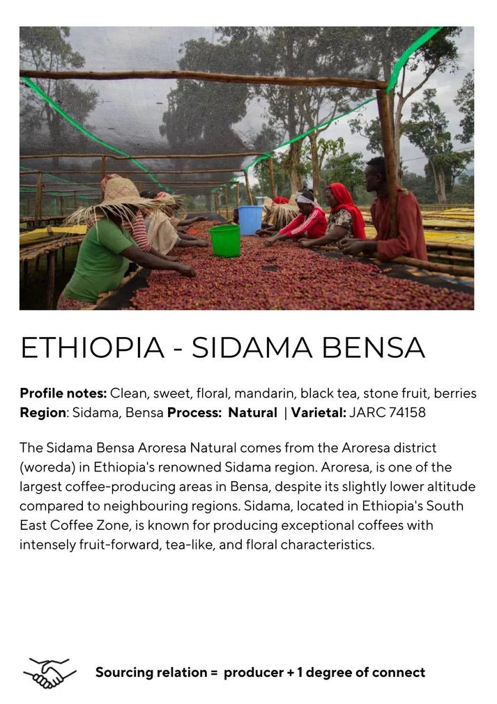 Ethopian Sidamo Bensa - Filter - Something's Brewing