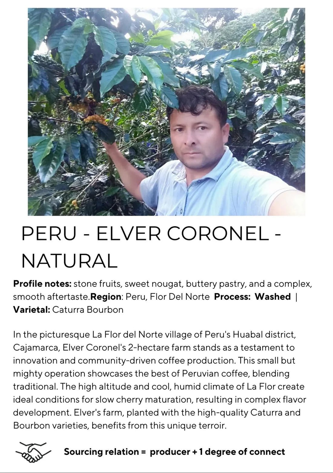Peru Elver Coronel - Natural - Something's Brewing