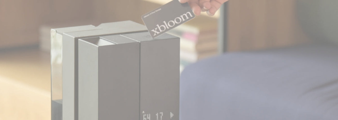 xbloom background image