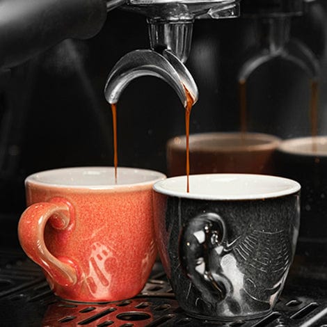 HighBrooks Coffee Roaster HighBrooks Coffee Nietzche