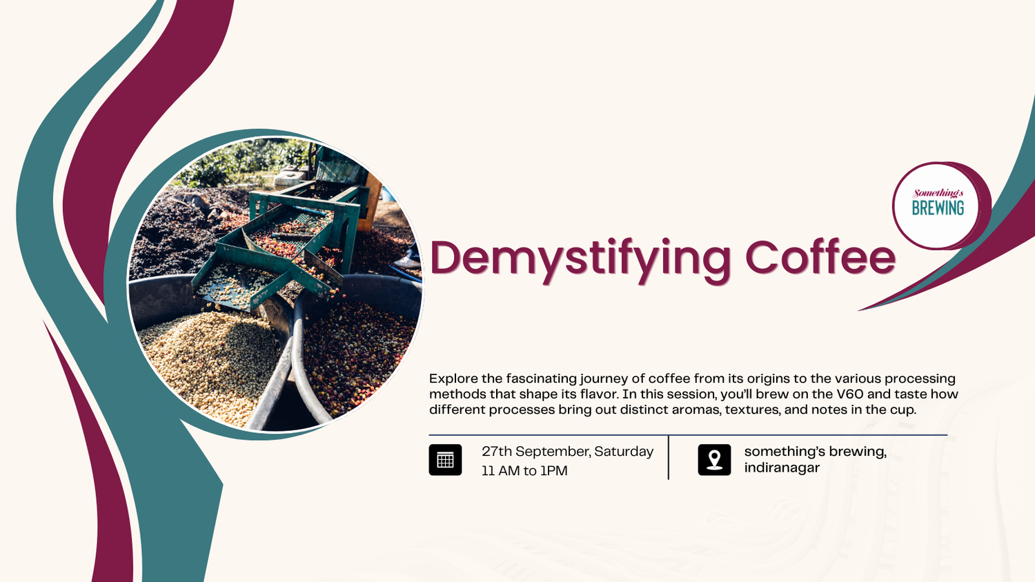 Demystifying Coffee: Origins, Processing & Brewing
