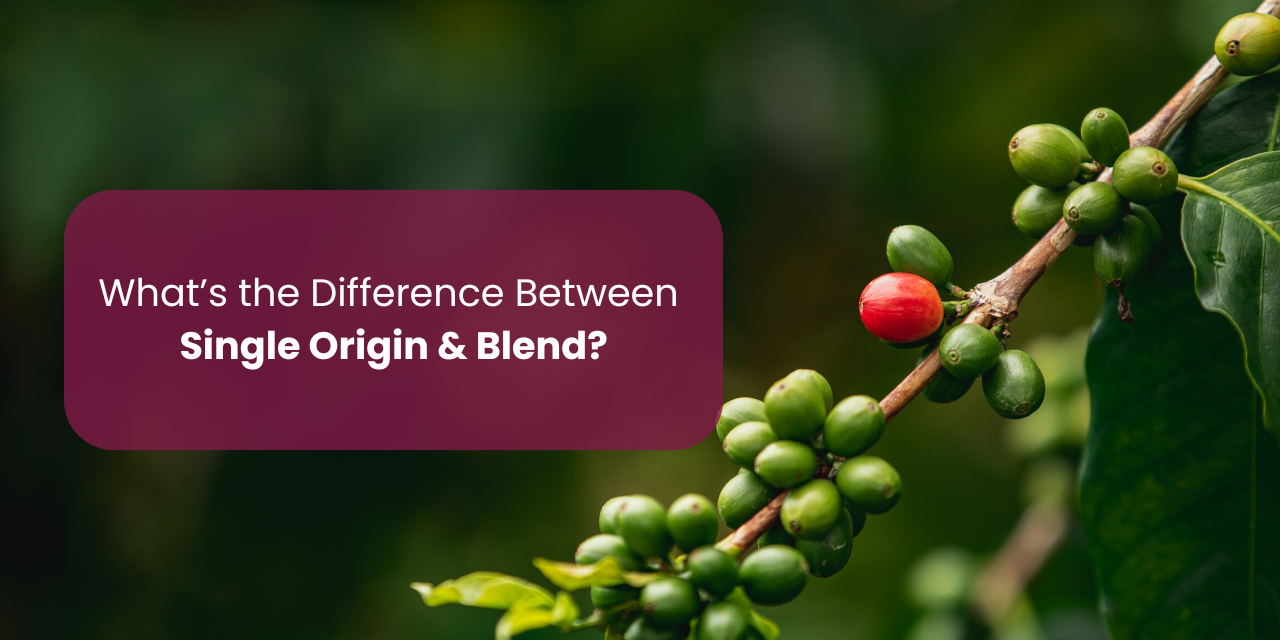 What’s the Difference Between Single Estate & Blend?