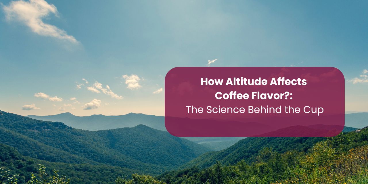 How Altitude Affects Coffee Flavor: The Science Behind the Cup