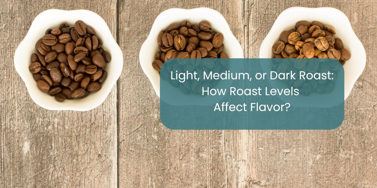 Light, Medium, or Dark Roast? How Roast Levels Affect Flavor