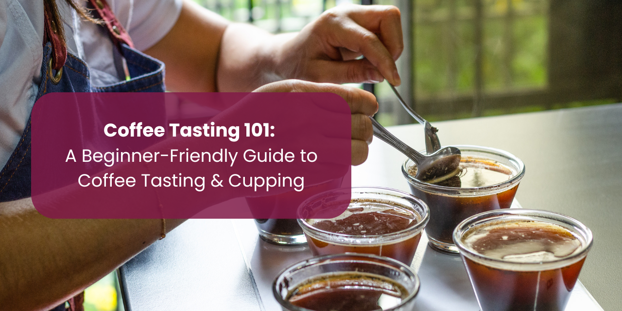 Coffee Tasting 101: A Beginner-Friendly Guide to Coffee Tasting & Cupping