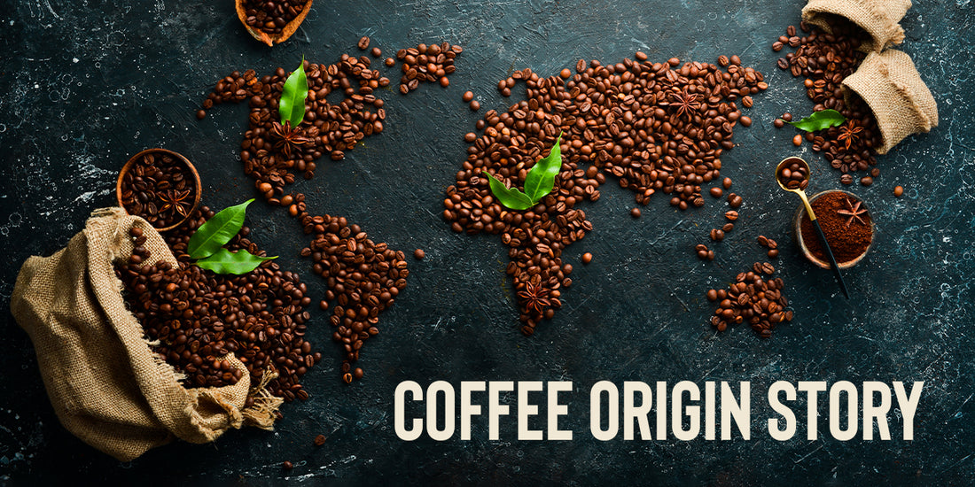 Coffee Origin Story | The Beginning of Your Favourite Brew