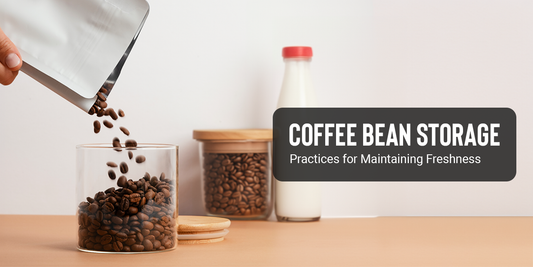 Coffee Bean Storage | Practices for Maintaining Freshness