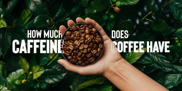 How much Caffeine does coffee have?