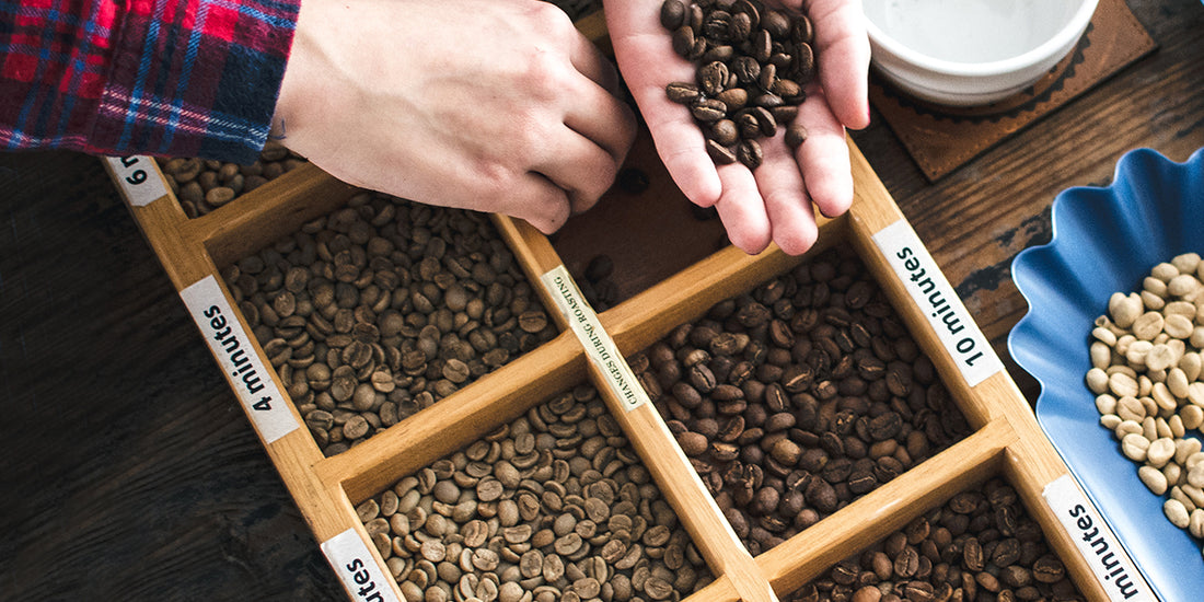 How to Choose a Roast Profile for Your Brewer?