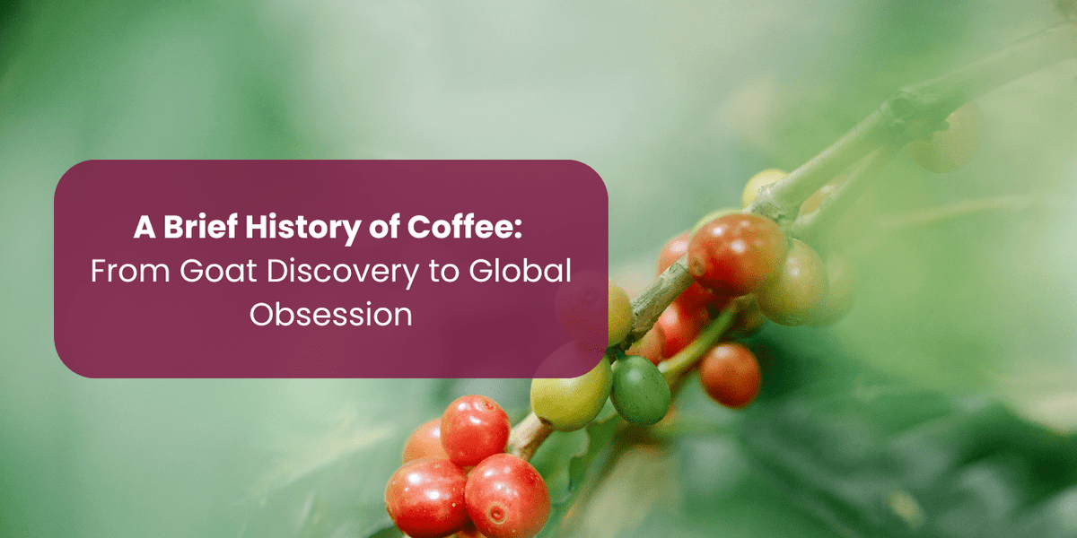 A Brief History of Coffee: From Goat Discovery to Global Obsession - Something's Brewing