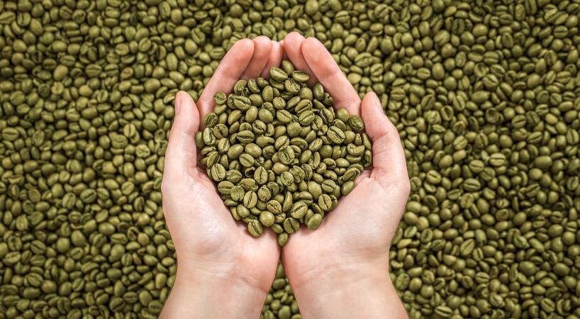 Busting Myths About Green Coffee - Something's Brewing