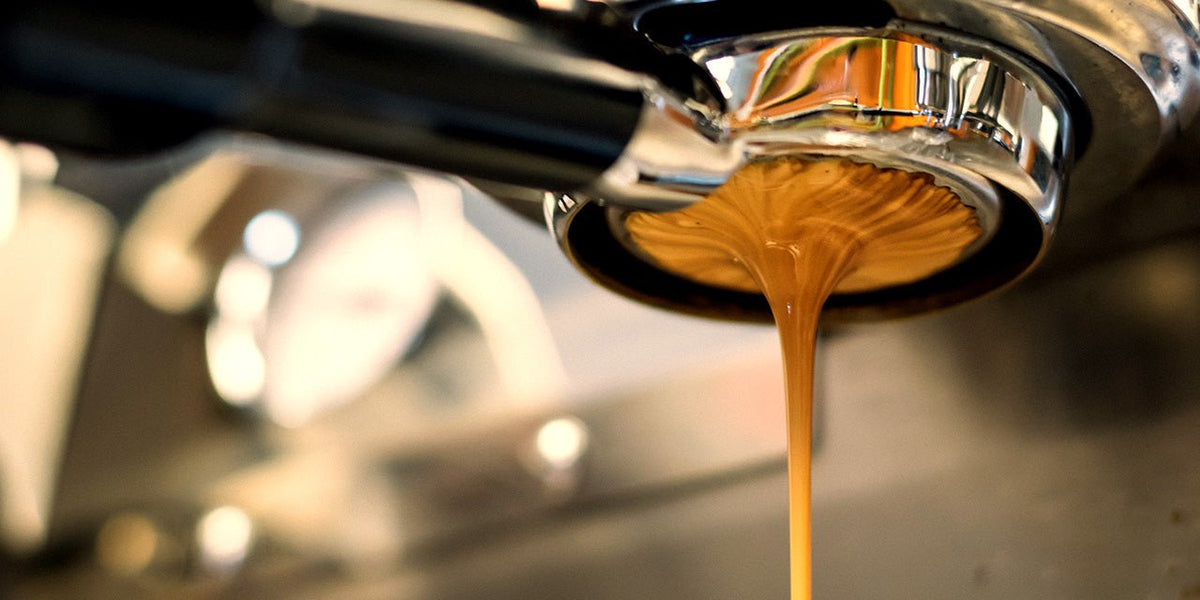Cafe-Like Espresso at Home | A Beginner's Guide - Something's Brewing