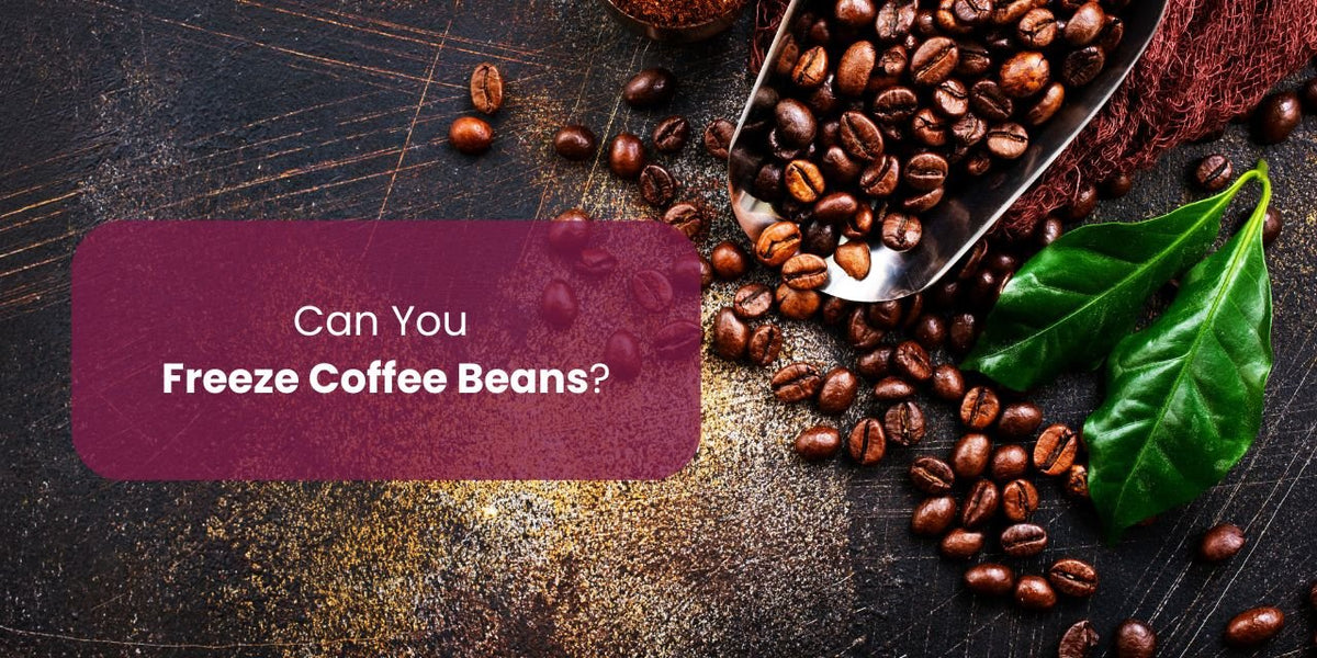 Can You Freeze Coffee Beans? What You Should Know - Something's Brewing