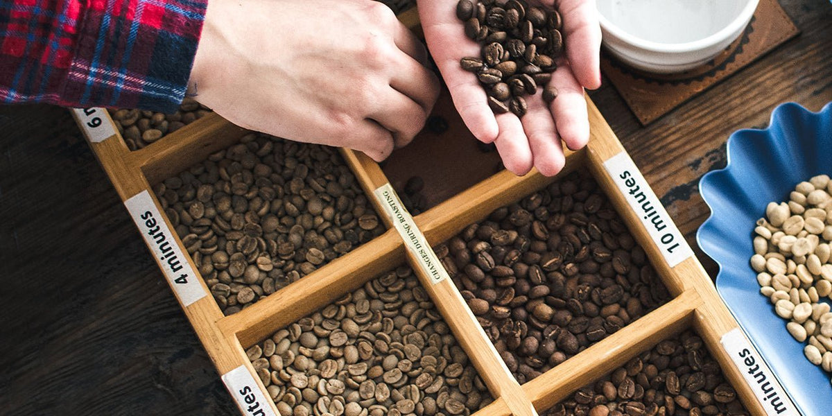 Choosing the Right Roast Profile for Your Brewer - Something's Brewing