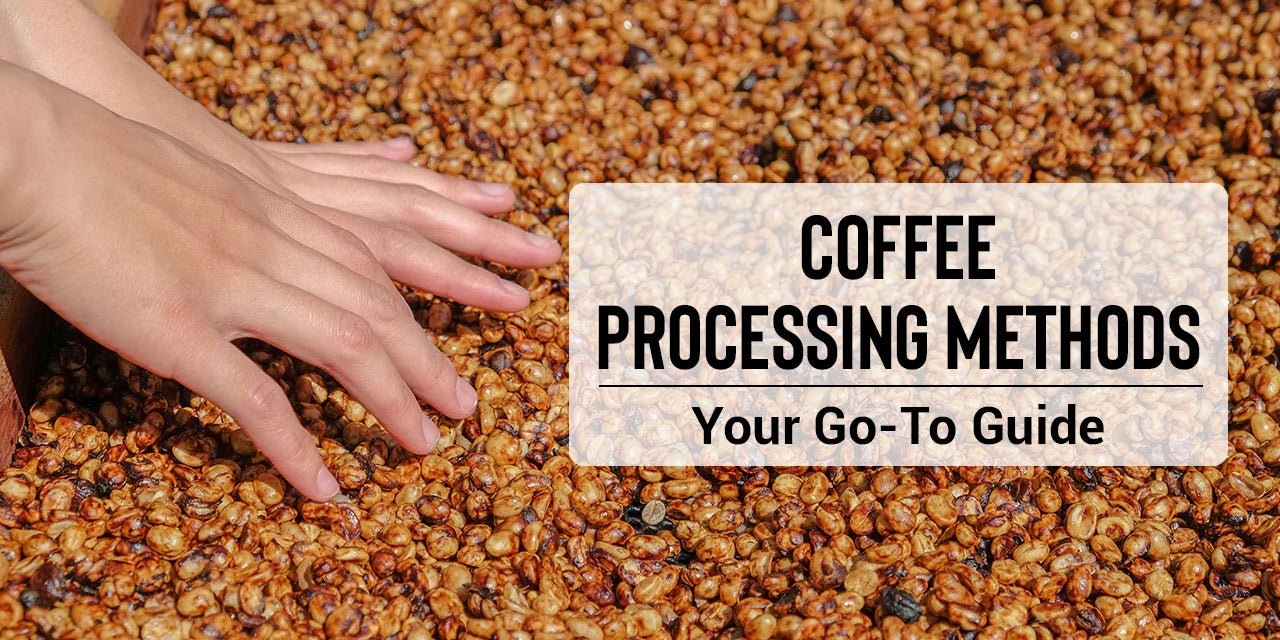 Coffee Processing Methods | Your Go-To Guide - Something's Brewing