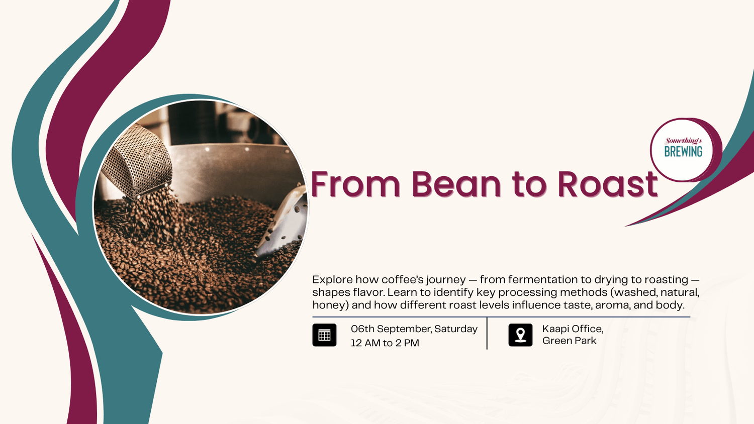From Bean to Roast: Understanding Coffee Processes & Profiles - Something's Brewing