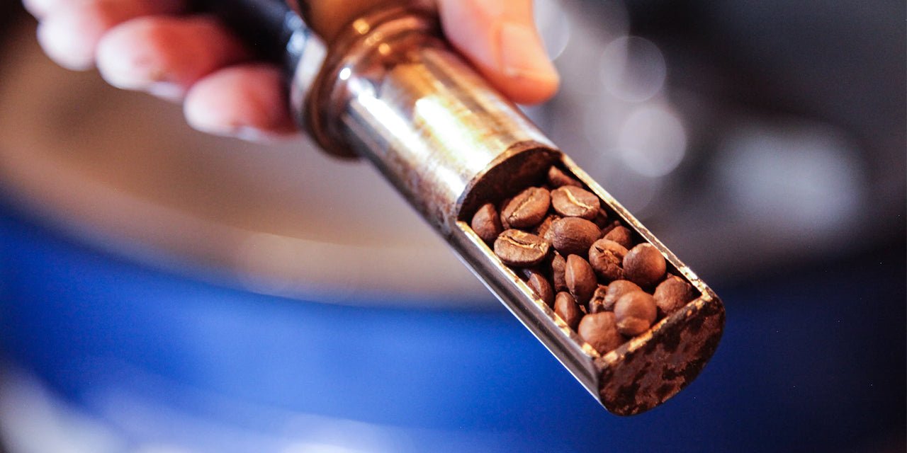 How Does Freshly Roasted Coffee Affect Your Final Brew? - Something's Brewing