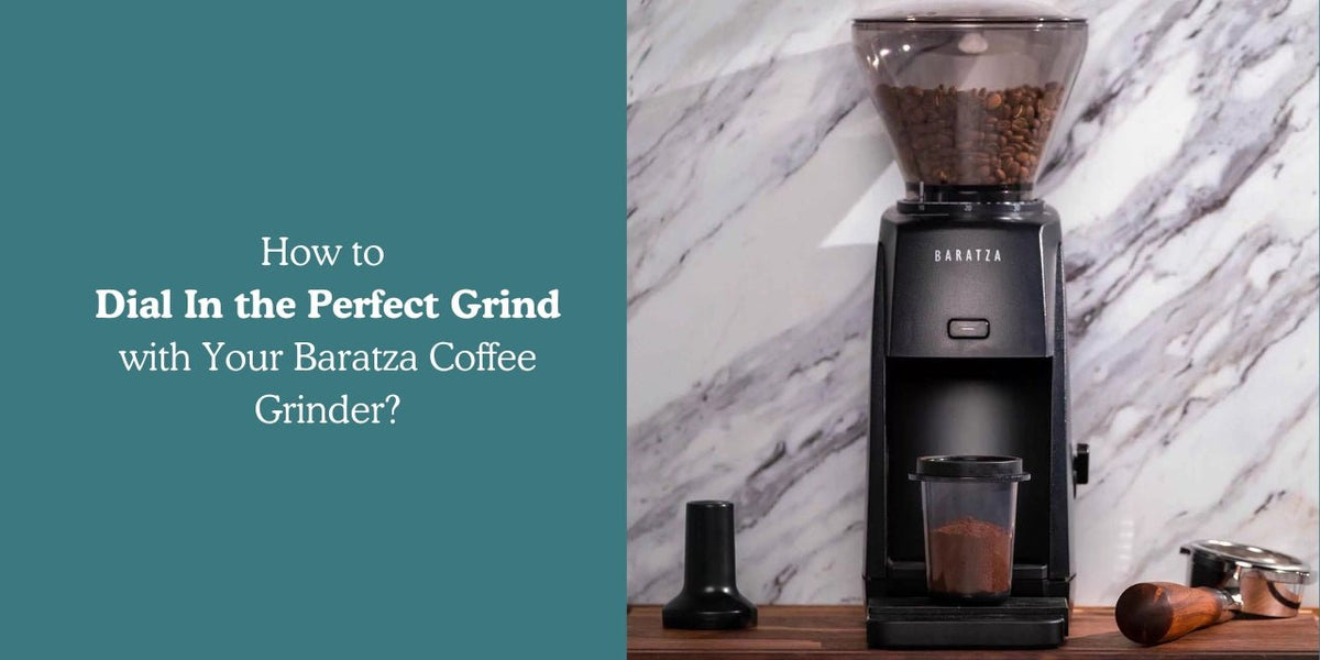 How to Dial In the Perfect Grind with Your Baratza Coffee Grinder? - Something's Brewing
