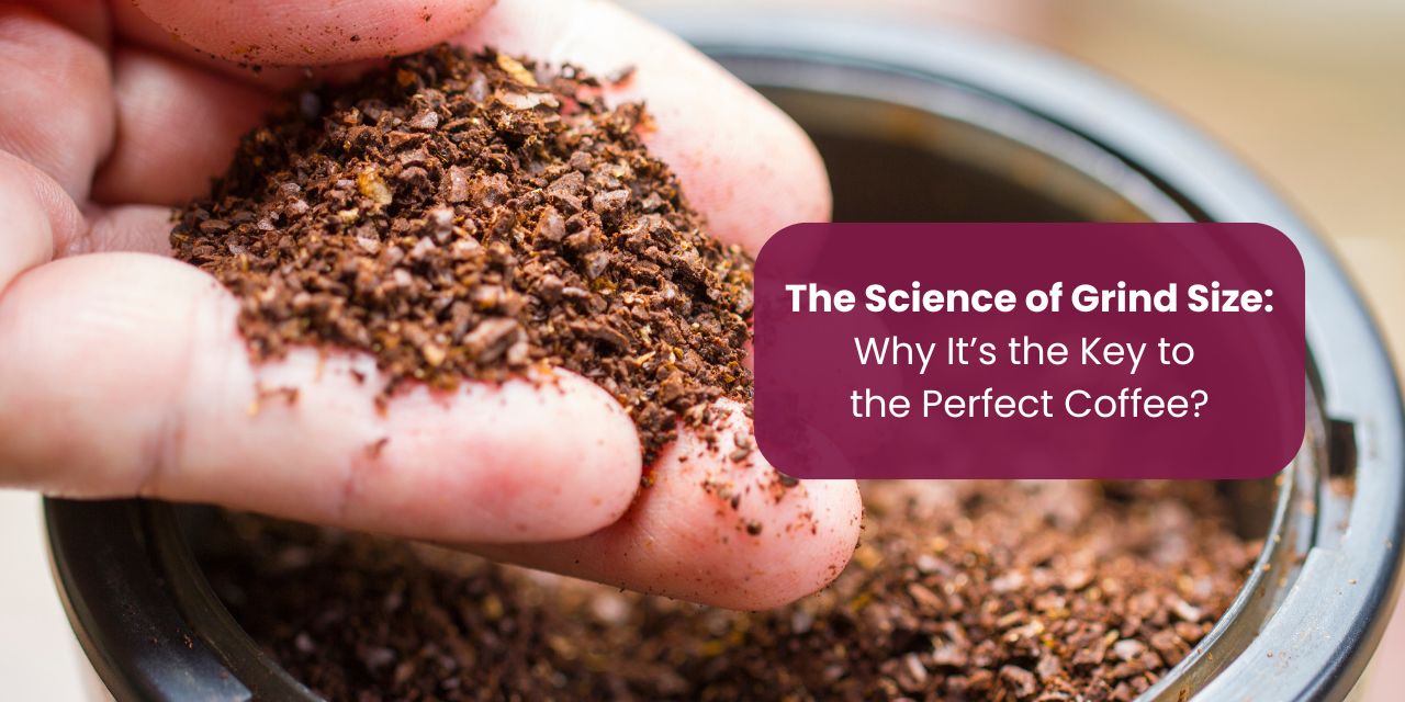 The Science of Grind Size: Why It’s the Key to Perfect Coffee?