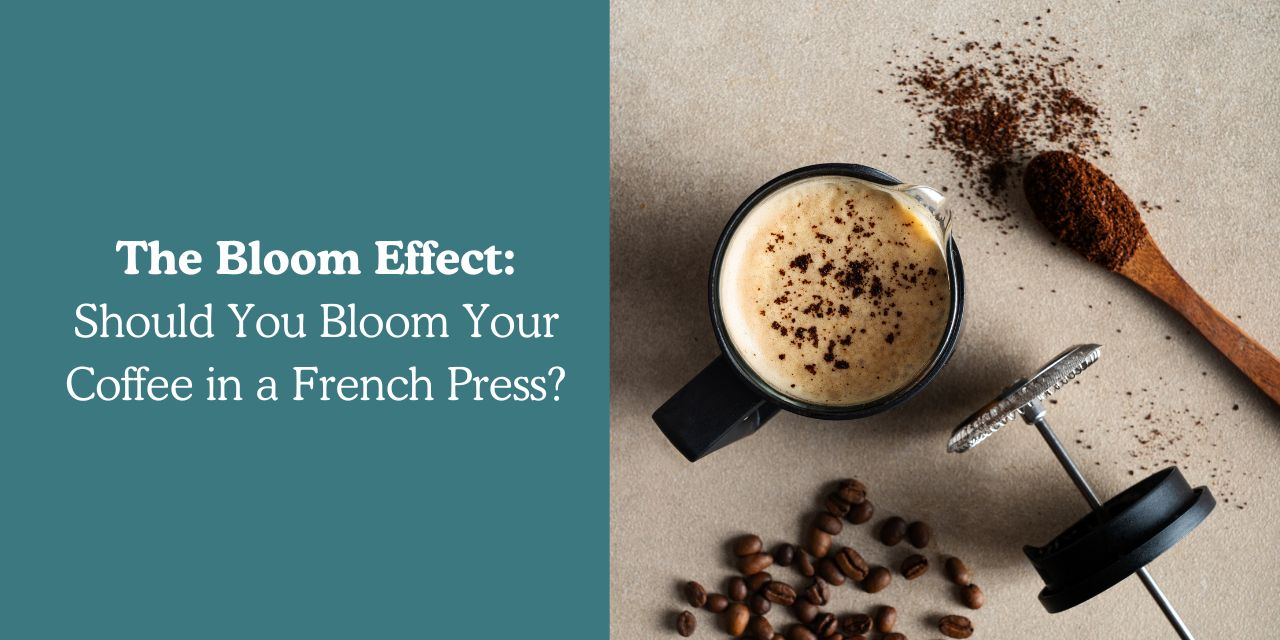 The Bloom Effect: Should You Bloom Your Coffee in a French Press? - Something's Brewing