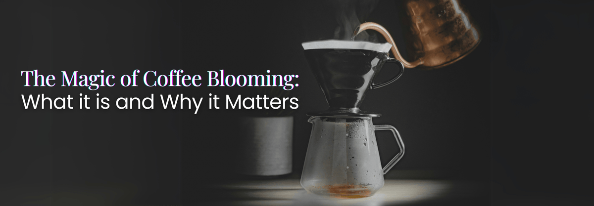 What Is Coffee Blooming & Why It Matters? - Something's Brewing