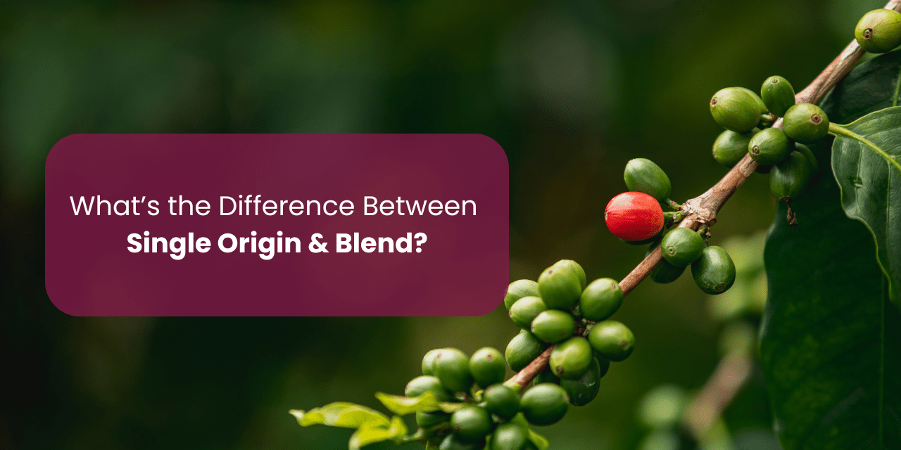 What’s the Difference Between Single Estate & Blend? - Something's Brewing