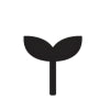 Thoughtful, Sustainable Design