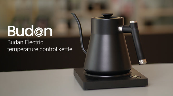 This is an image of Budan Electric Temperature Control kettle
