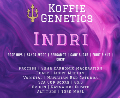 Koffie Genetics Ground And Whole Beans Indri - 90Hrs Carbonic Maceration