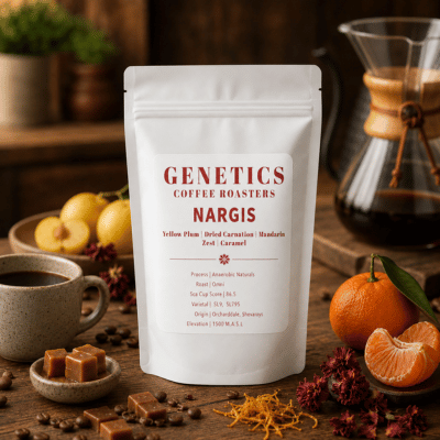 nargis |Genetics coffee roasters-somethings's brewing
 