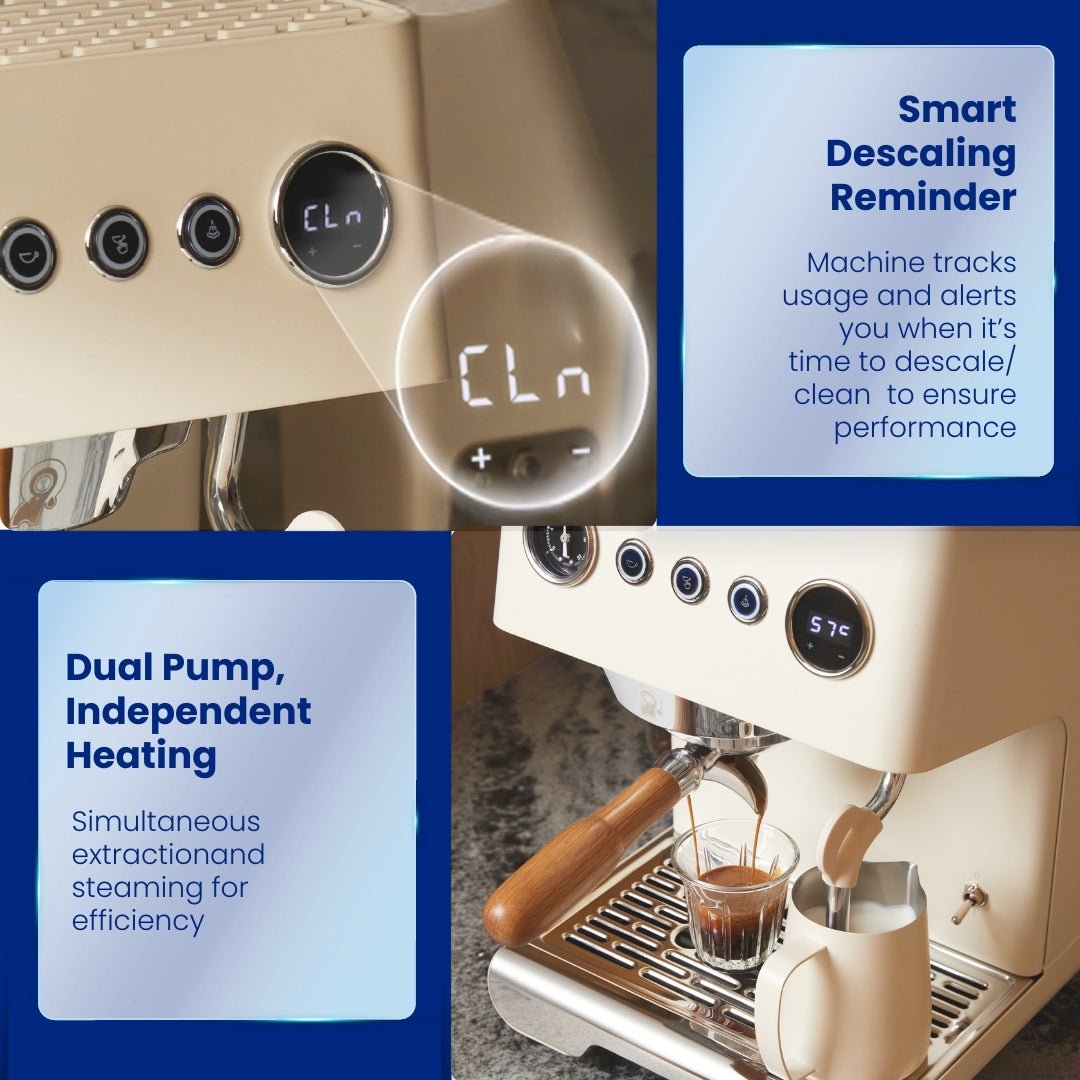 Budan Athena Core Espresso Machine - Something's Brewing