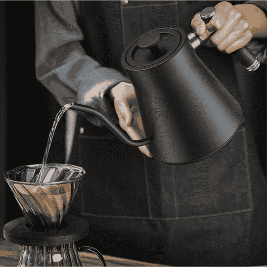 Budan Electric Temperature Control Kettle - Something's Brewing