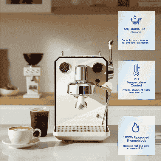 Budan Sofia - Something's Brewing