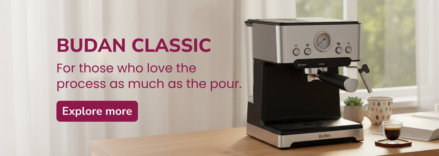 budan classc image desktop