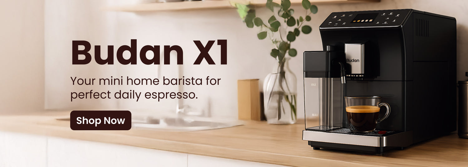 budan x1 desktop image