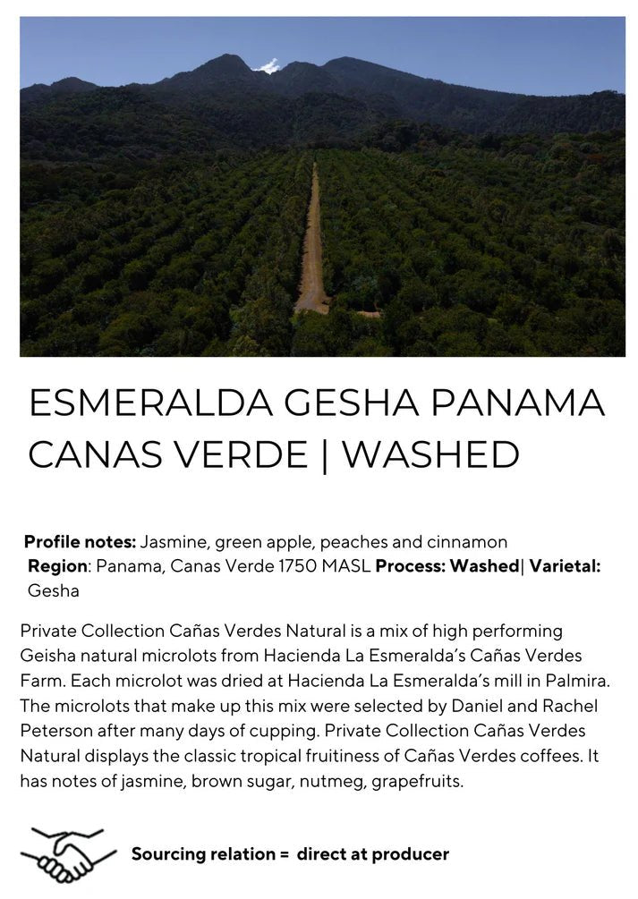 Canas verde washed Gesha - Something's Brewing