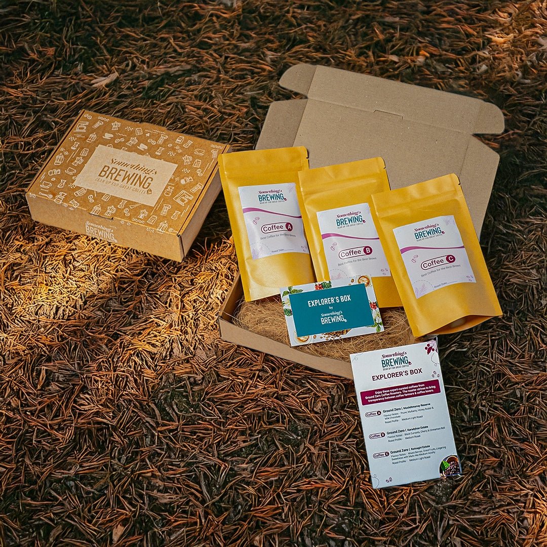 Explorer Box - Something's Brewing