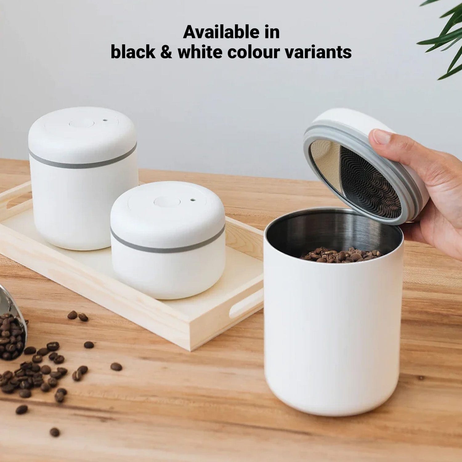 fellow-atmos-vacuum-stainless-