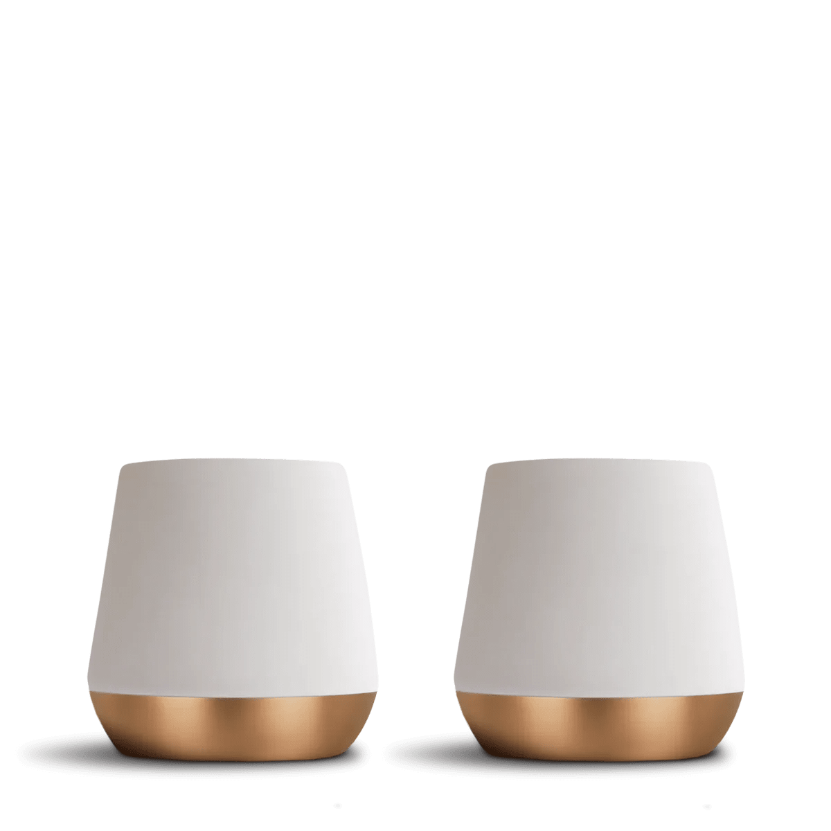 Fellow Joey Double Wall Ceramic Mug (set of 2) - Something's Brewing