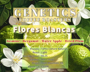 Flores Bancas - Something's Brewing