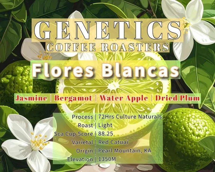 Flores Bancas - Something's Brewing
