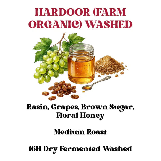 Hardoor Farm Organic washed | Rossette Coffee Lab