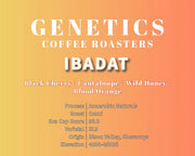 Ibadat - Something's Brewing