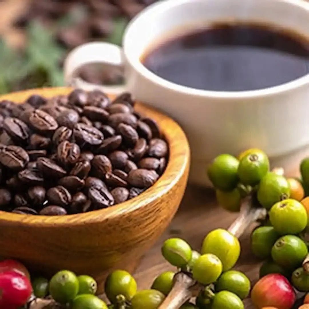 Intensive Crop to Cup Workshop | 14 Hours - Something's Brewing