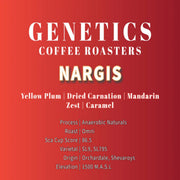 NARGIS(Orchadale) - Something's Brewing