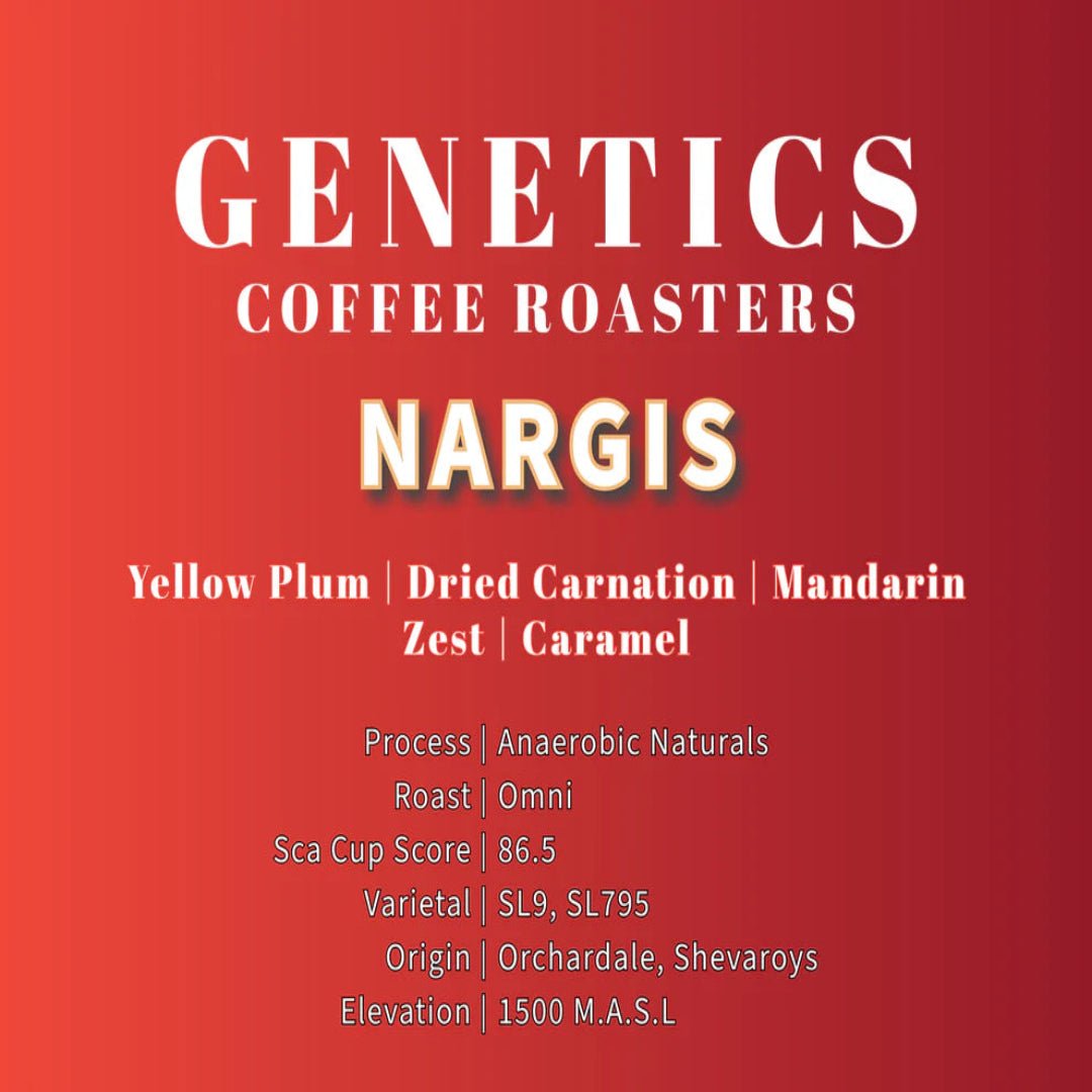 NARGIS(Orchadale) - Something's Brewing
